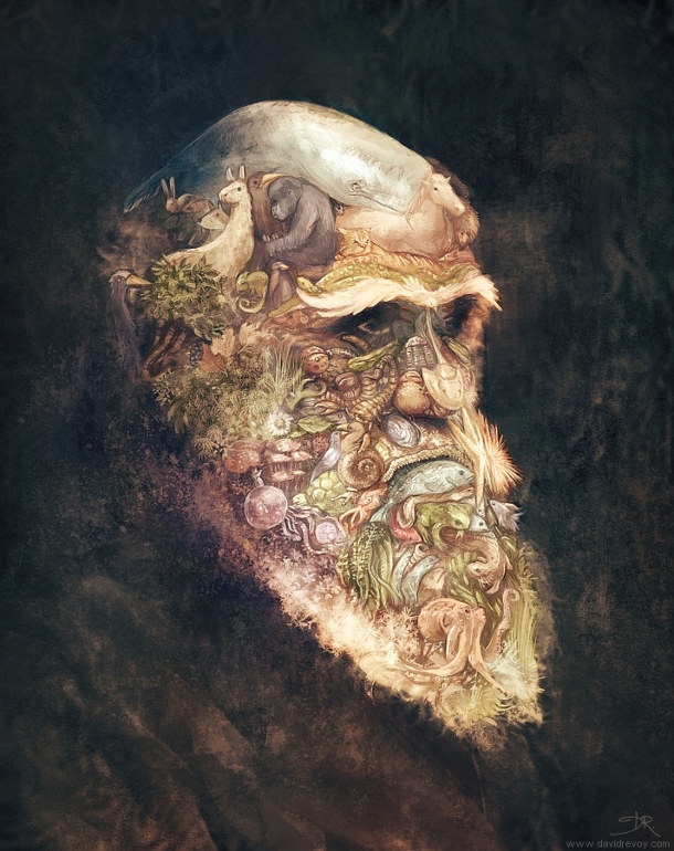 Portrait-of-Charles-Darwin_by-David-Revoy